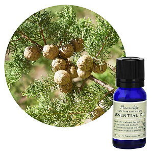 Flavor lifeit[o[Ctj TCvX 10ml ( GbZVIC A}IC  )