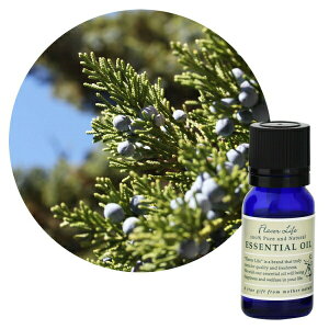 Flavor lifeit[o[Ctj V_[EbhE@[WjA 10ml ( GbZVIC A}IC  )