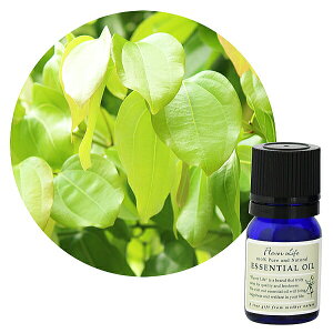 Flavor lifeit[o[Ctj Vi[t 10ml ( GbZVIC A}IC  )