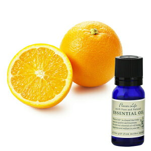 Flavor lifeit[o[Ctj XC[gIW10ml ( GbZVIC A}IC  )