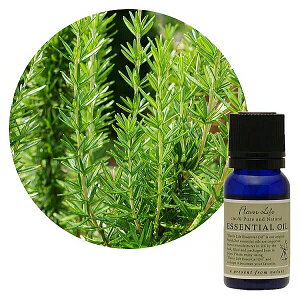 Flavor lifeit[o[Ctj [Y}[ 10ml ( GbZVIC A}IC  )