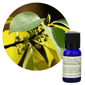 Flavor lifeit[o[Ctj C`icFANxoj 10ml ( GbZVIC A}IC  )