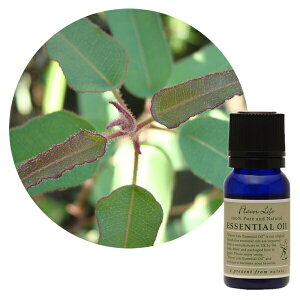 Flavor lifeit[o[Ctj [JEVgIh 10ml ( GbZVIC A}IC  )