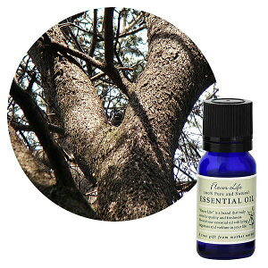 Flavor lifeit[o[Ctj V_[EbhEAgX 10ml ( GbZVIC A}IC  )