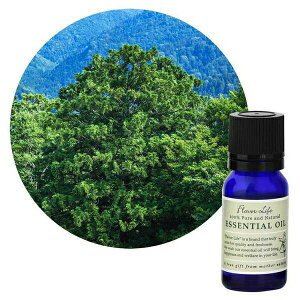 Flavor lifeit[o[Ctj Ђ 10ml ( GbZVIC A}IC  )