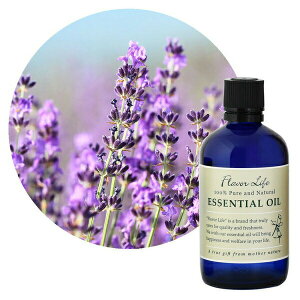 Flavor lifeit[o[Ctj x_[EtX 100ml ( GbZVIC A}IC  )