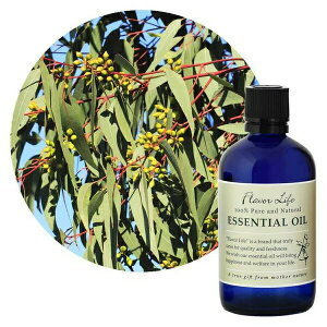 Flavor lifeit[o[Ctj [JEfBA[^ 100ml ( GbZVIC  A} IC )