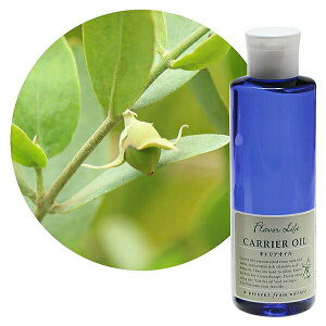 Flavor lifeit[o[Ctj LAIC zzoIC NA 200ml ( XLPA }bT[W {fBPA )