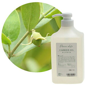 Flavor lifeit[o[Ctj LAIC zzoIC NA 1000ml ( XLPA }bT[W {fBPA )