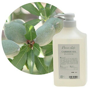 Flavor lifeit[o[Ctj LAIC XC[gA[hIC 1000ml ( XLPA }bT[W {fBPA )