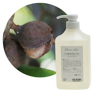 Flavor lifeit[o[Ctj LAIC }J_~AibcIC 1000ml ( XLPA {fBPA )