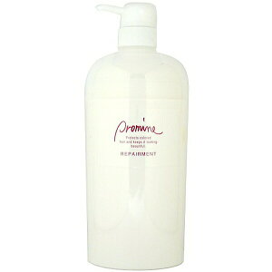 iJm v}C yAg 670g (쐻 wAJ[p g[gg wAPA eꔄ Tꔄi)