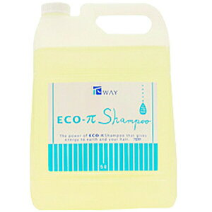 j[EFCWp GRpCVv[ 5000ml (shampoo new way japan GRpC Vv[ Ɩp Vv[ Tꔄi eꔄi)