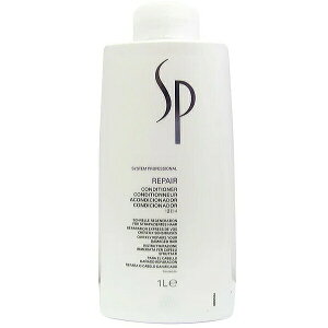 EGSP yA RfBVi[ 1000mliEG WELLA wAPA RfBVi[ g[gg _[WwA _[WPA C TT eꔄi Tꔄi ߕi lC)