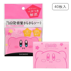 ϔ VErhE ̃J[rB O炳V[g 40 玉zpE_[z SHOBIDO X^CO [1825] [֖[A][TN50]