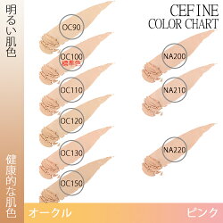 シルクウェットパウダーレフィル+ケース(スポンジ付き)セット
