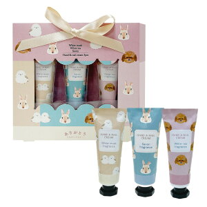 nhN[ 3PZbg 10g×3{ zCgXN zCgeB[ VgX T{  nhPA ێ  ˂ L V}GiK  gCv[h fC[PA v[g v`M