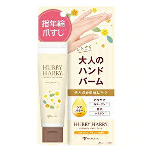 mn[n[nl̃nho[ CvA̍ nhN[ 50gi150񕪁jw3980~ȏwőx