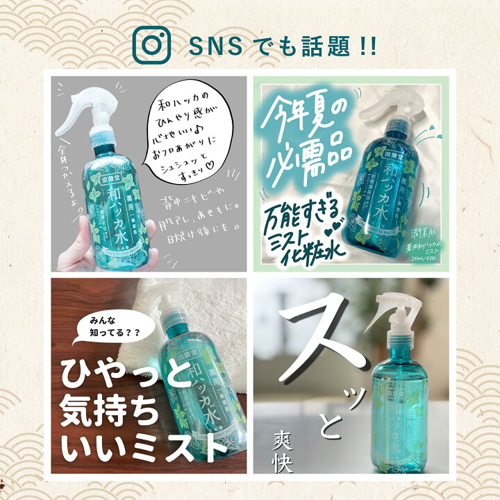 デポー コスメテックスローランド 潤素肌 和ハッカドライシャンプー お得な18点セット コスメテックスローランド 潤素肌 和ハッカ スカルプシャンプー 485mL 485ミリリットル (x 1)