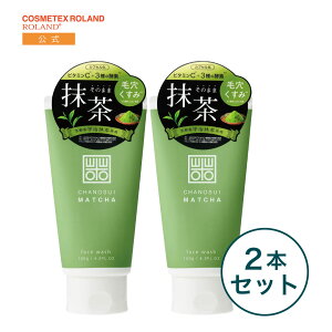 【公式限定2本セット/送料無料】茶の粋 抹茶泡洗顔フォーム 洗顔 泡 毛穴 抹茶 洗顔料 洗顔フォーム