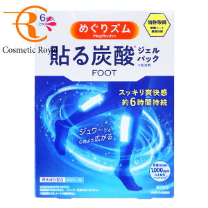 ԉ@߂Y@\Y_WFpbN@FOOT@x_[~g̍@6