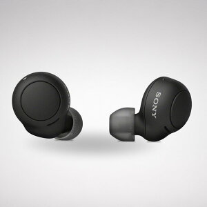 �\�j�[(SONY) ���S���C�����X�C���z�� WF-C500 : /�y�ʏ��^5.4g/�����x�ʘb�i��/�ȒP�y�A�����O/IPX4�h�H���\/�u���b�N WF-C500 BZ