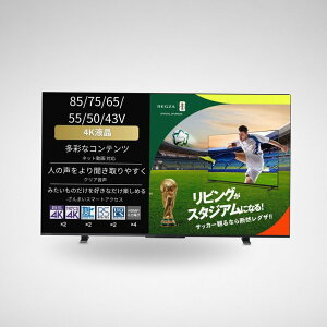 REGZA 50�C���` 4K �t�� 50M550M �X�}�[�g�e���r Airplay�Ή� 2023�N���f��