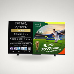 REGZA 55�C���` 4K �t�� 55M550M �X�}�[�g�e���r Airplay�Ή� 2023�N���f��