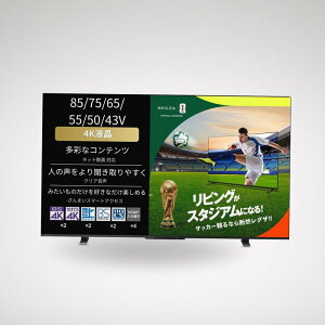 REGZA 43�C���` 4K �t�� 43M550M �X�}�[�g�e���r Airplay�Ή� 2023�N���f��