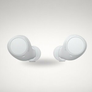 �\�j�[(SONY) ���S���C�����X�C���z�� WF-C510 / �y�ʏ��^4.6g / �����x�ʘb�i��/�O����荞�ݑΉ�/�}���`�|�C���g�Ή� / IPX4�h�H���\ / �z���C�g/WF-C510 WC