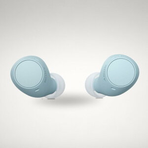 �\�j�[(SONY) ���S���C�����X�C���z�� WF-C510 / �y�ʏ��^4.6g / �����x�ʘb�i��/�O����荞�ݑΉ�/�}���`�|�C���g�Ή� / IPX4�h�H���\ / �u���[/WF-C510 LC