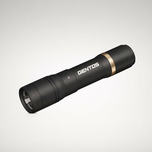 GENTOS(�W�F���g�X) �����d�� LED���C�g �[�d�� 200-900���[���� ���N�V�[�h RX-285R/RX-286R/RX-304R/RX-386R/RX-486PB
