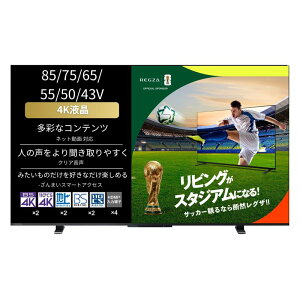 REGZA 43�C���` 4K �t�� 43M550M �X�}�[�g�e���r Airplay�Ή� 2023�N���f��
