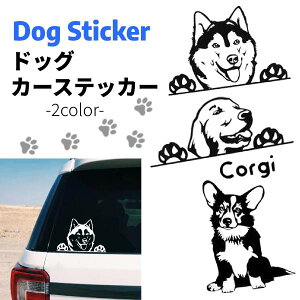 J[ XebJ[  S[fgo[ R[M[ nXL[  oCN ] X[cP[X L[P[X V[ fJ[    Aj}