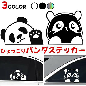 p_ ]ʎ J[ XebJ[  JX^ oCN I[goC ] X[cP[X L[P[X V[ fJ[ Aj} EChE Ђ  