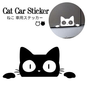 J[XebJ[  oCN ] X[cP[X L[P[X V[ fJ[ ybg Aj} Lbg L IV  l XebJ[