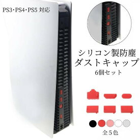 PS3 PS4 PS5 本体 USB HDMI 端子 保護 ほこり防止 ダストプラグ 6個セット 箱無し シリコン ポートキャップ インターフェイス カバー 防塵プラグ