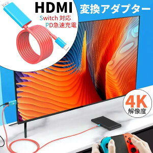 Nintendo Switch XCb` ^CvC type-c HDMI ϊ A_v^[ P[u 4K  2m Q[~O CeA Jt j^[ ڑ X}z X}[gtH hbN R[h [d