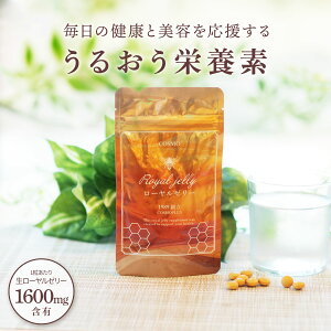 yyVX[p[SALEI70%OFFz RX[[[ 60 30 [[[ Tv [[[ NMN vY}[Q rtBYX _ fLXg C[