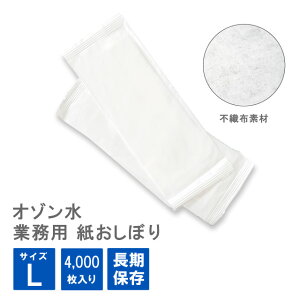 yȃN[|zzIz^ ڂ etL[O3 LTCY 4000^100×40pbN iOSHIBORI-Lj q Y m[AR[ ۑ