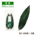 【お得なクーポン配布中！】青笹 乾燥防止付 20cm 100枚 SS×5袋 500枚（16850）真空パック 笹の葉 天然素材 寿司 お…