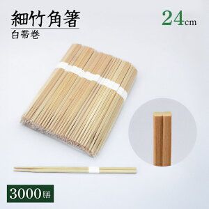 ג|p 24cm ъ 100VE500VE3000V iKAKUBASI-24j蔢  ĝĔ Ɩp HX