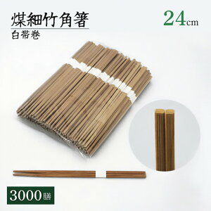  ג|p 24cm ъ 100VE500VE3000V iSUSUKAKUBASI-24j蔢  ĝĔ Ɩp HX