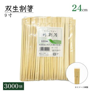 | 9 o 24cm 100VE500VE3000ViTAKE-9-SOUSEIj蔢  ĝĔ Ɩp HX