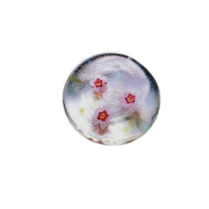 u t̂炦 ~ 5 Ìyтǂ AfA ΒˏɎqiF-62185jnhCh Mtg