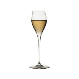 ロブマイヤー バレリーナ シャンパン チューリップB 200cc（GL27610T）シャンパングラス