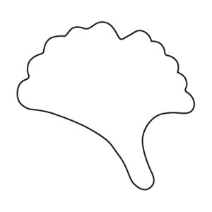  ؔ  i073030j07-0289-0501ؔ^ؔ^ ^ Ȃ Mi