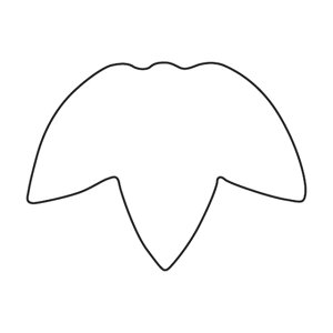  ؔ | i075021j07-0295-0201ؔ^ؔ^ ^  ^P |