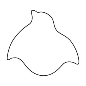  ؔ 璹 i075036j07-0296-0601ؔ^ؔ^ ^ ǂ  Ƃ