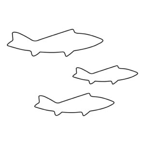    3PCi077007j07-0304-0104ؔ^ؔ^ ^  A  ٌ^